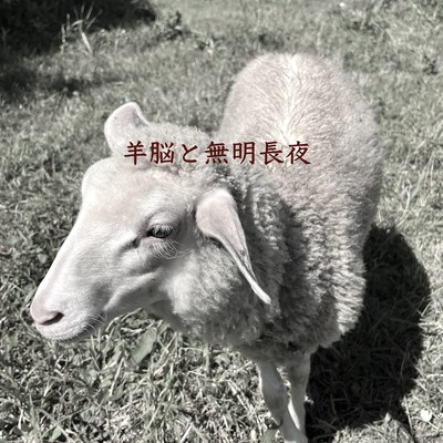 The Sin of Sheep and Humanity