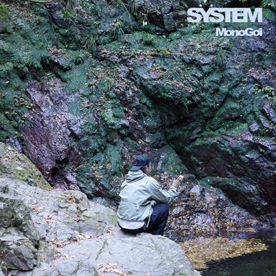 SYSTEM