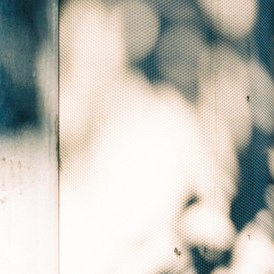 scene