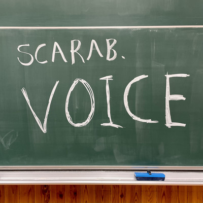 Voice