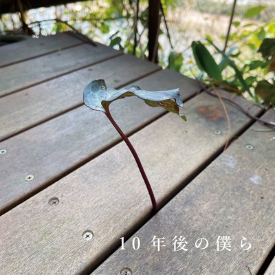 Juunengo No Bokura