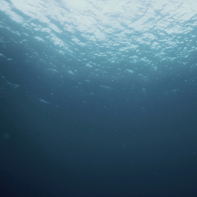 Inner Vox