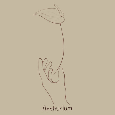 Anthurium