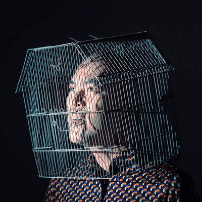 Birdcage