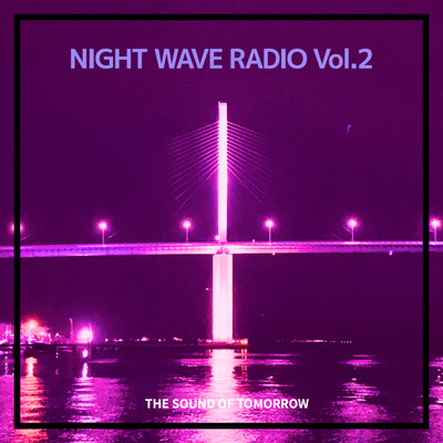 NIGHT WAVE RADIO (Vol.2)