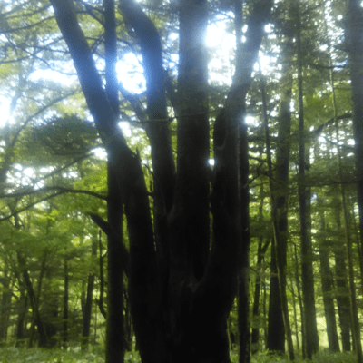 anthology 1 2013-2023