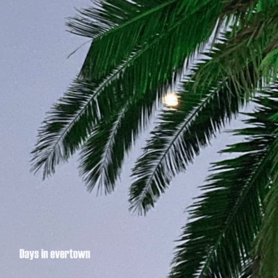 Days in evertown