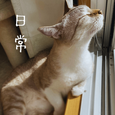 NICHIJO
