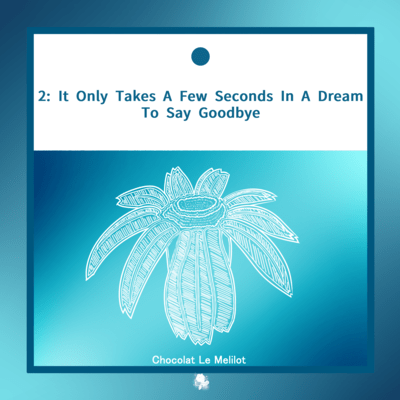 2: It Only Takes A Few Seconds In A Dream To Say Goodbye