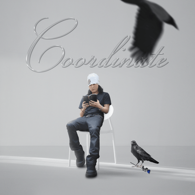 Coordinate