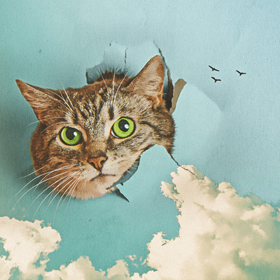 Follow my heart (feat. Kopi)