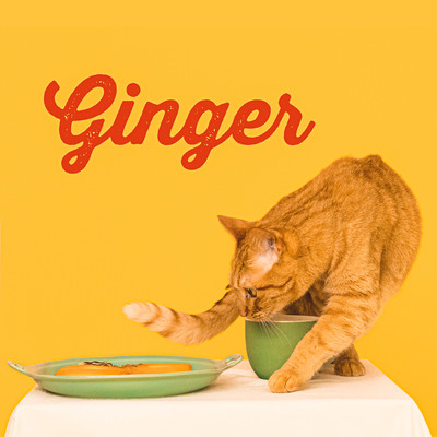 Ginger