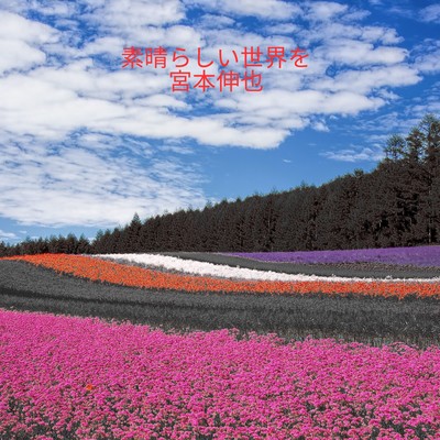 Wonderful world ("JAGA RECORDS mix")