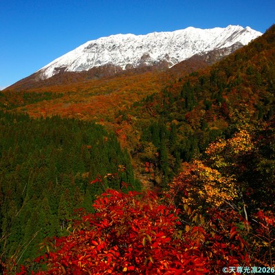 YOUR BEAUTY IS BEYOND DESCRIPTION RRL