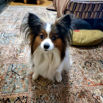 The sound of the tide (feat. AKIKO)