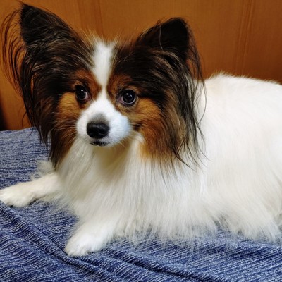 Conclusion after thought (feat. AKIKO)