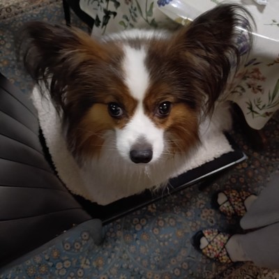 Dark Rain (feat. AKIKO)