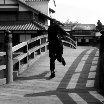 World reformation of ninja