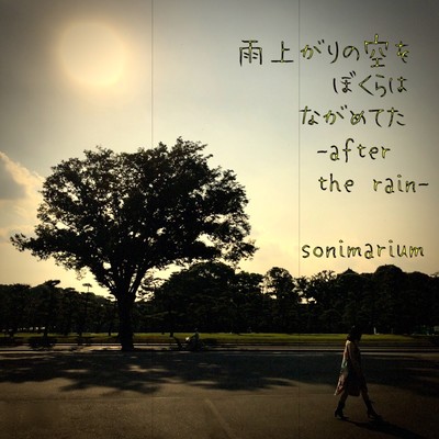 after the rain