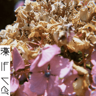 mo (IF Ver.)