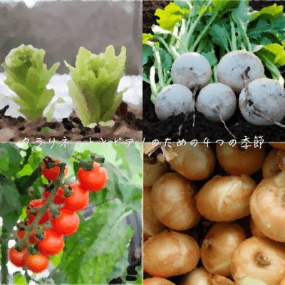 Seasons for Clarinet and Piano