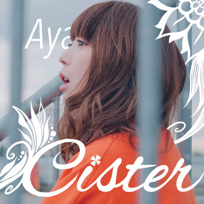 Cister