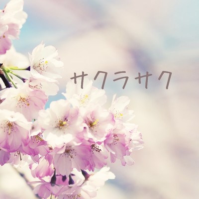 sakura