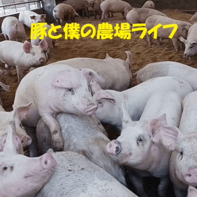 My Farm Life with Pig