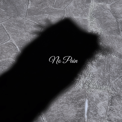 No pain (feat. 2-KID)