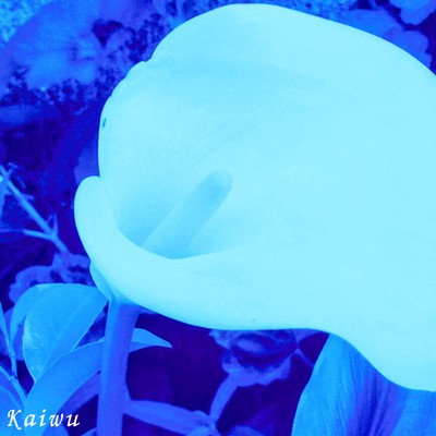 Kaiwu (Radio Edit)
