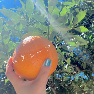 red grapefruit
