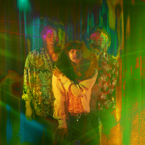 Bellbottom From 80's