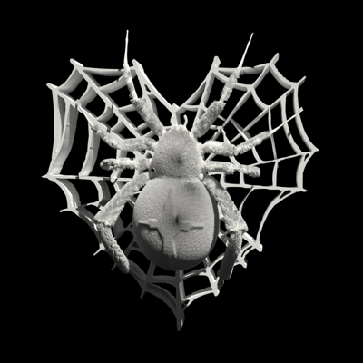 5PID3R B0Y (feat. SOH EMPTY)