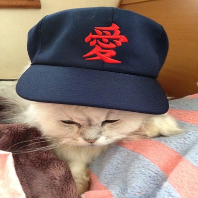 kapo's world