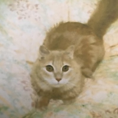 Remain the most wonderful