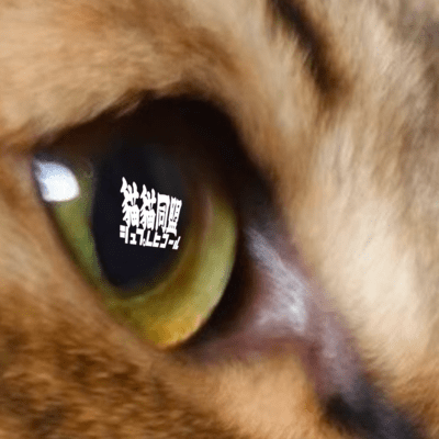 Cats Cats Alliance Sprechchor