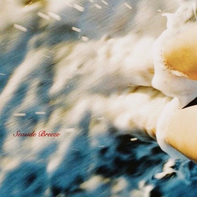 Seaside Breeze (feat. General Hope)