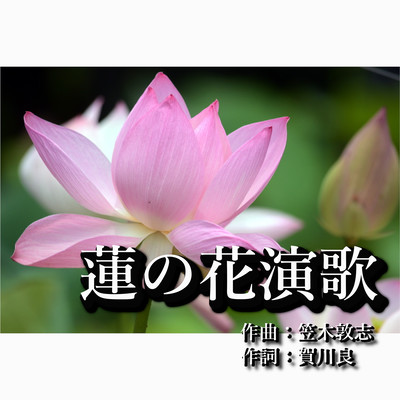LIKE A LOTUS FLOWER