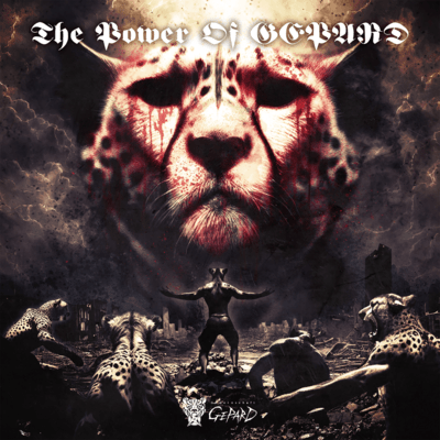 The Power Of GEPARD