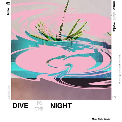 Dive To The Night