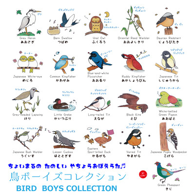 BIRD BOYS COLLECTION