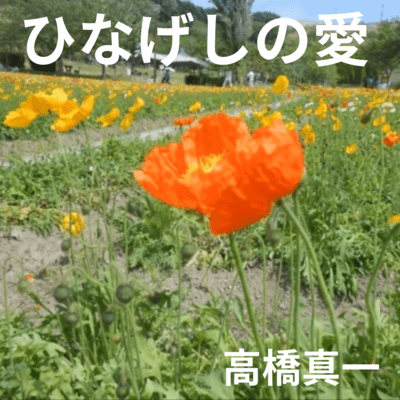 Poppy Love (feat. Arsloid & VY1V4)