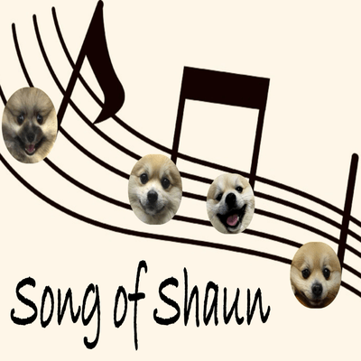 Song of Shaun