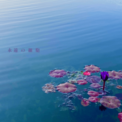 Eternal cell (feat. Tomoki Ihira)