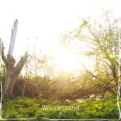 Wonderland