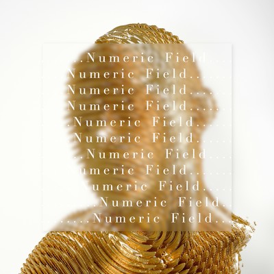 Numeric Field