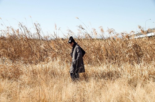 birds humming the beat