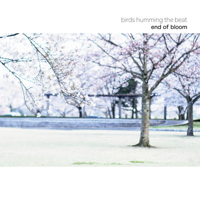 end of bloom