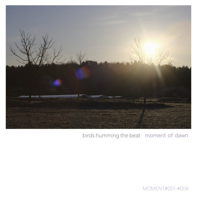 moment of dawn