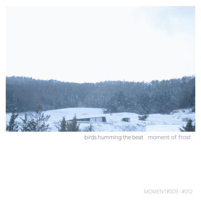 moment of frost